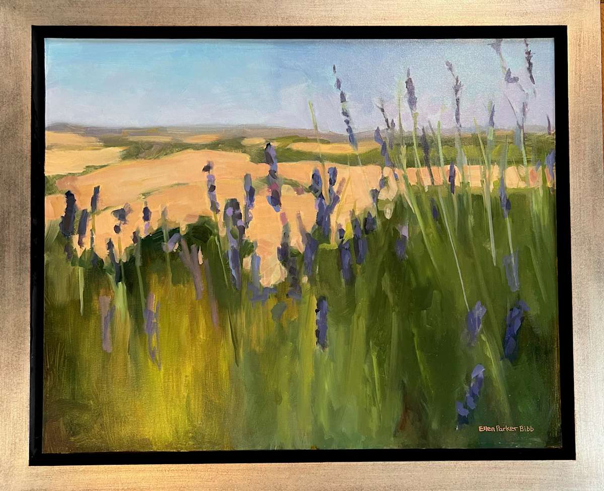 Lavender Fields Forever by Ellen Bibb 