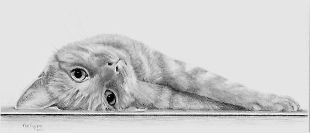 Lounge Kitty by Ann Nystrom Cottone 