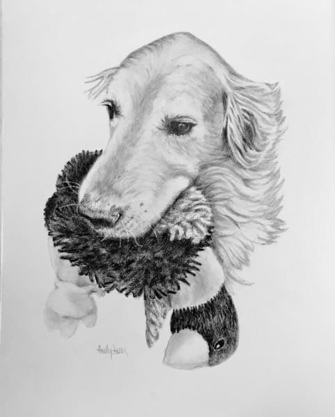 Cooper by Ann Nystrom Cottone 