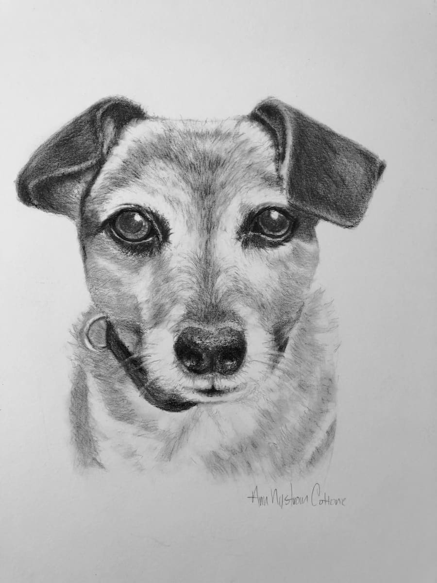 Nico by Ann Nystrom Cottone, Image 1.