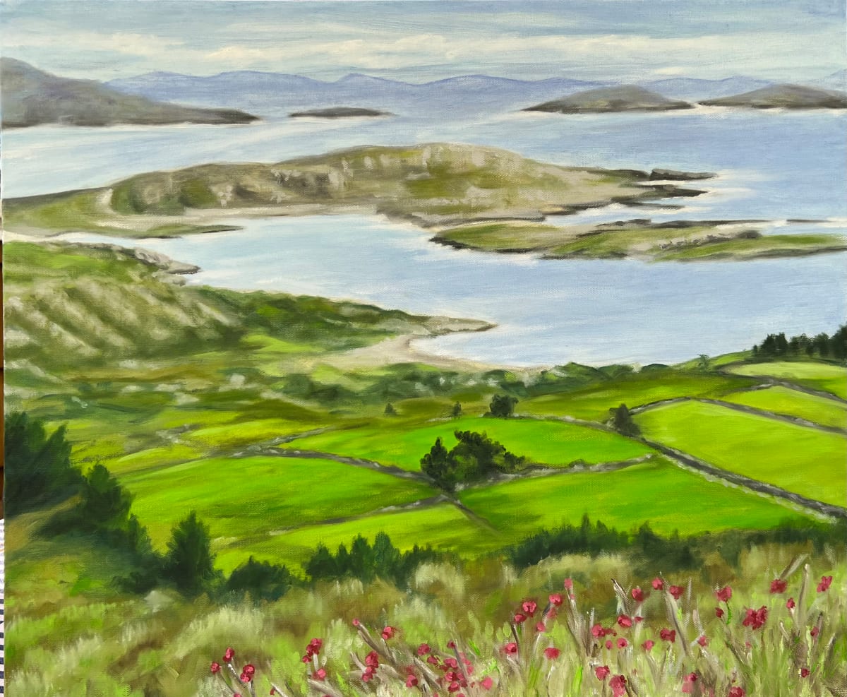 Overlook - Ring of Kerry Ireland by Ann Nystrom Cottone 