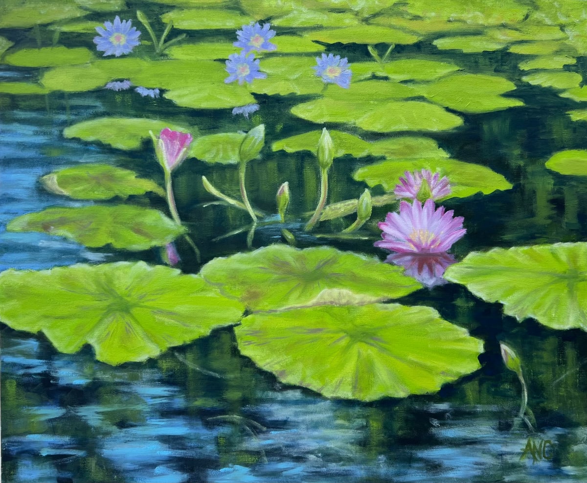 Water Lilies by Ann Nystrom Cottone 