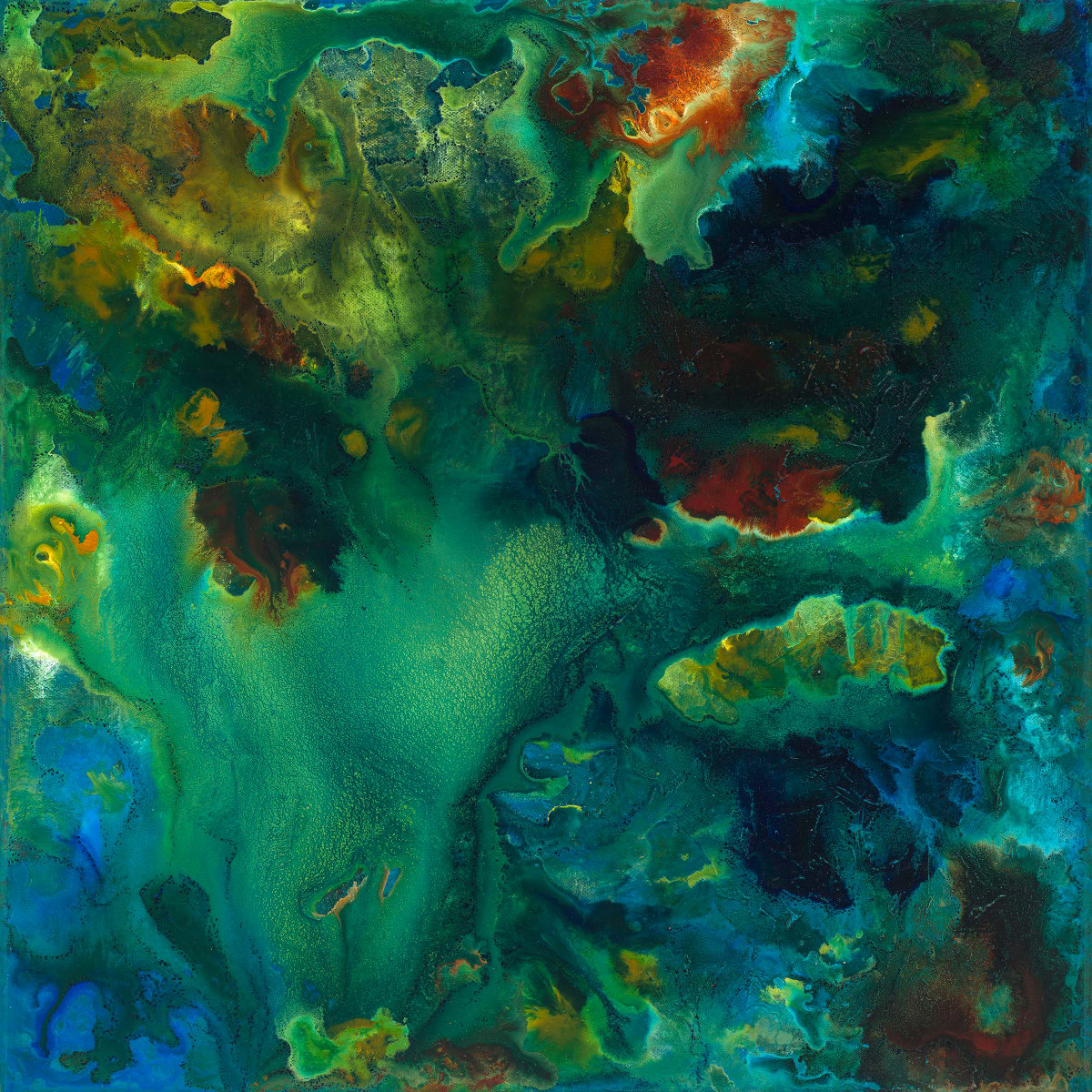 Am I Dreaming? by Kristy Collette 