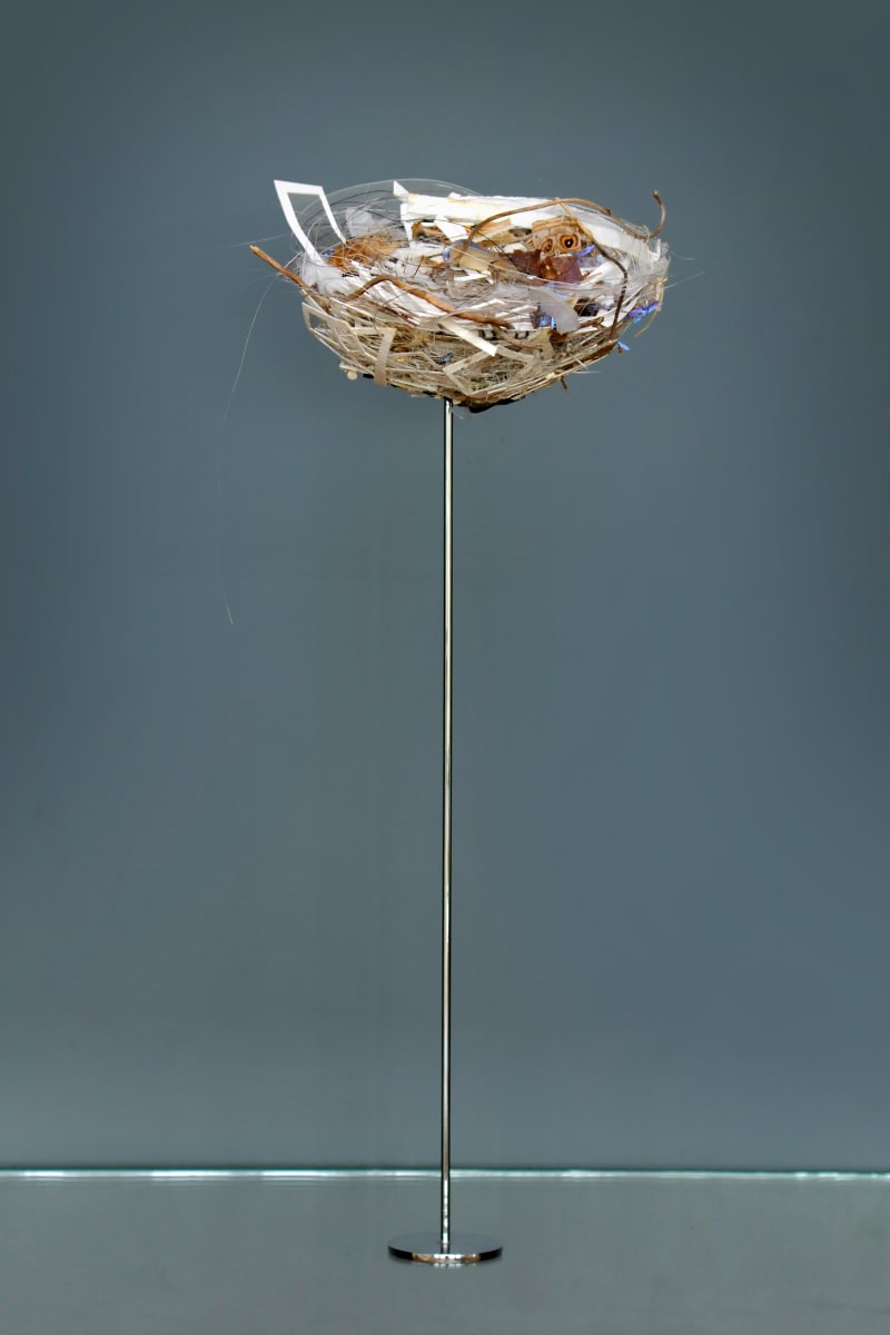 Habitat (Nest II) by Tane Andrews 