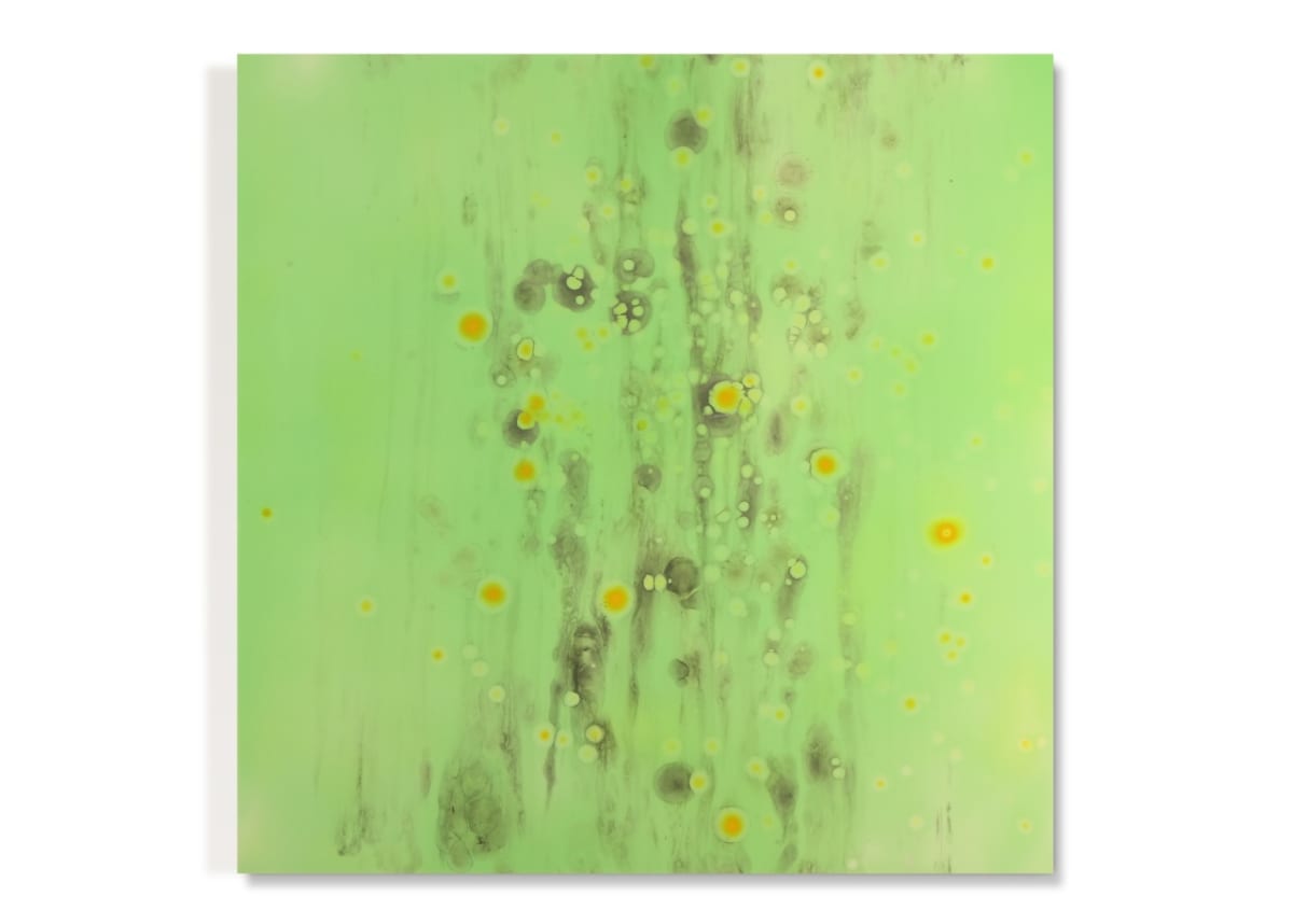Xylem series - Avium12 by Miik Green 