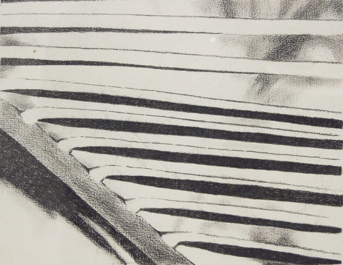 Zamia Palm by Gillian Treichel 