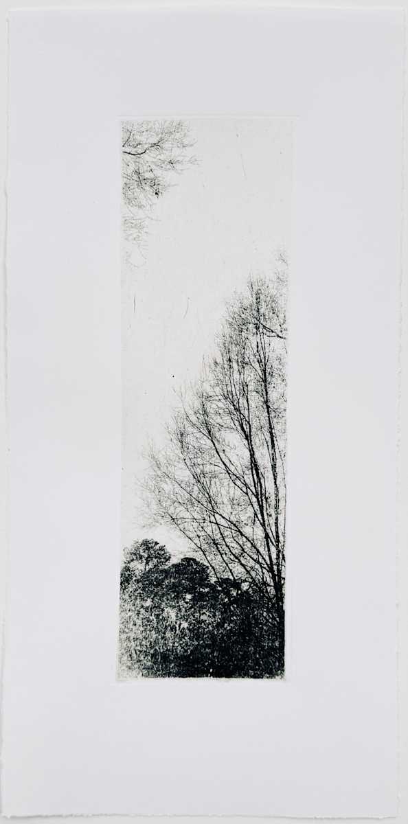 Fleeting 2 by ME Quarles, Image 1.
