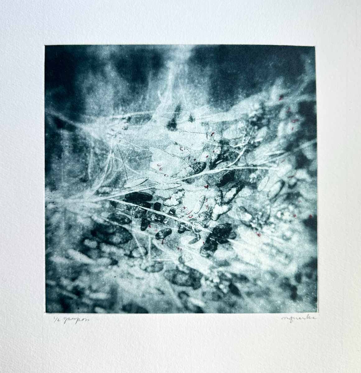 Fleeting 5 by Maryellen Quarles  Image: Movement, growth and wildness as we move quietly through the understory