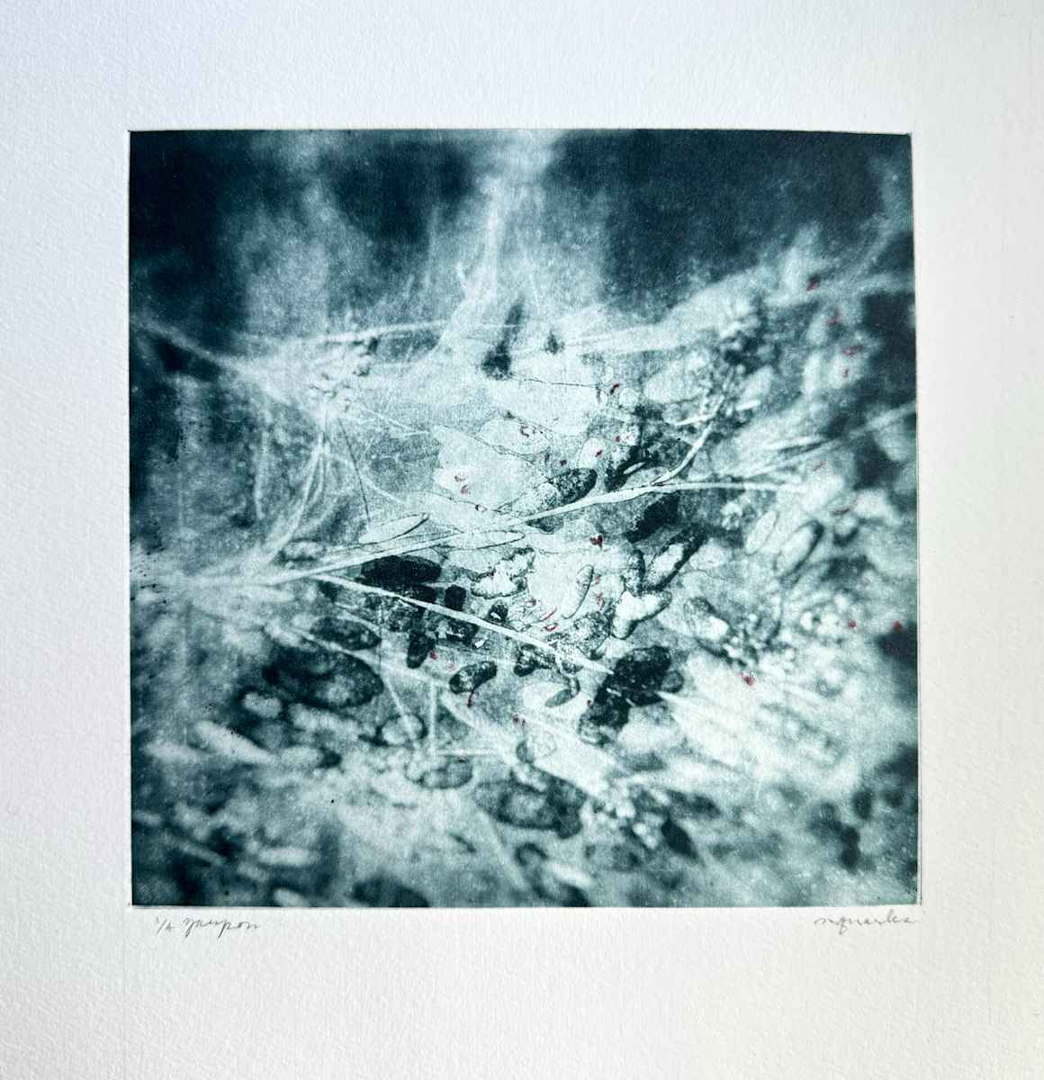 Fleeting 5 by Maryellen Quarles, Image 11.