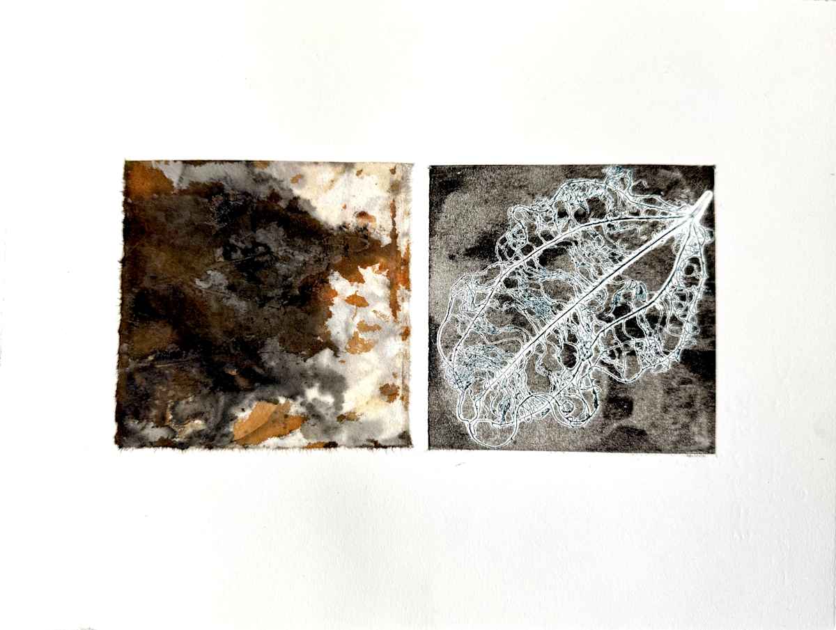 Fleeting 6 by ME Quarles, Image 13.
