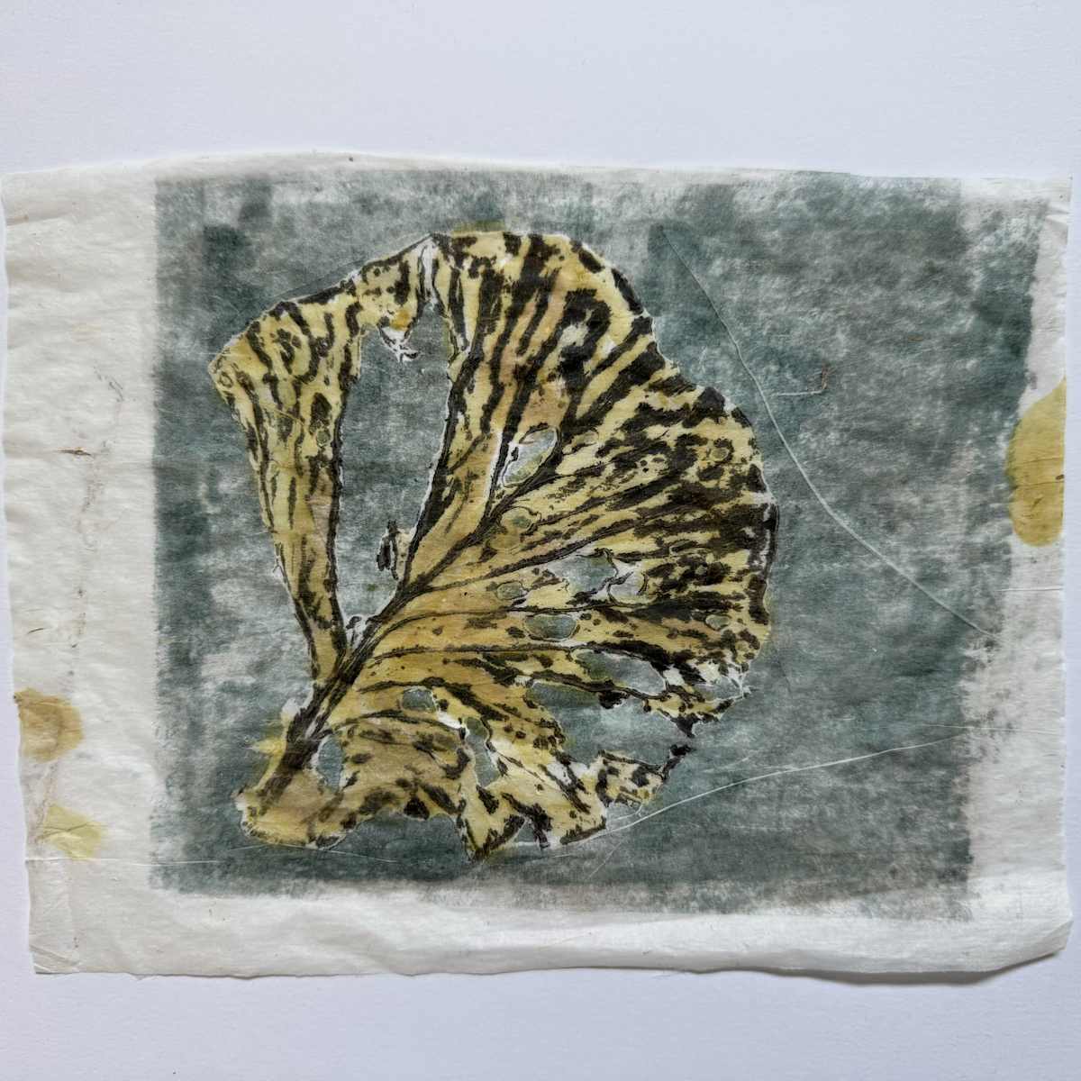 Fleeting 7 by ME Quarles 