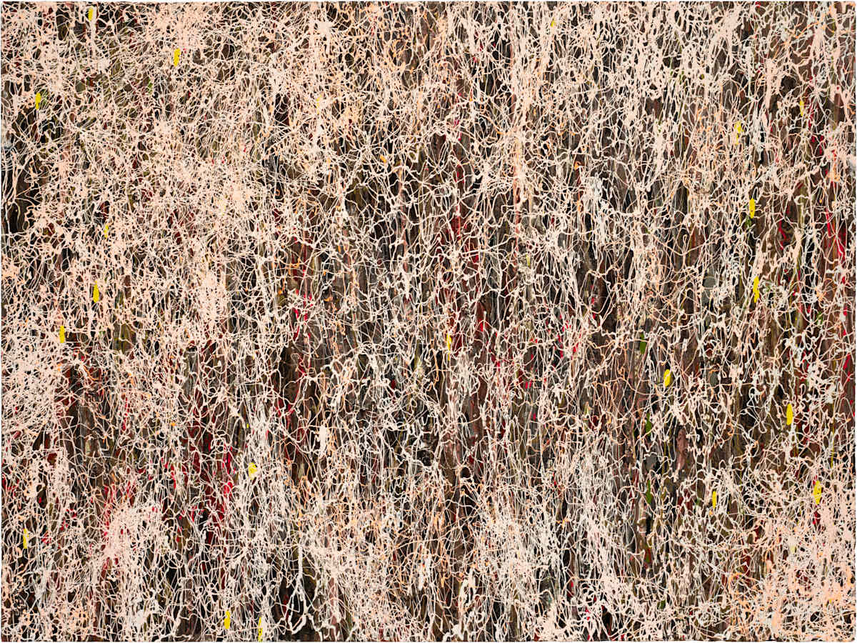 Chasing Light by Jodey Kerr, Image 1.