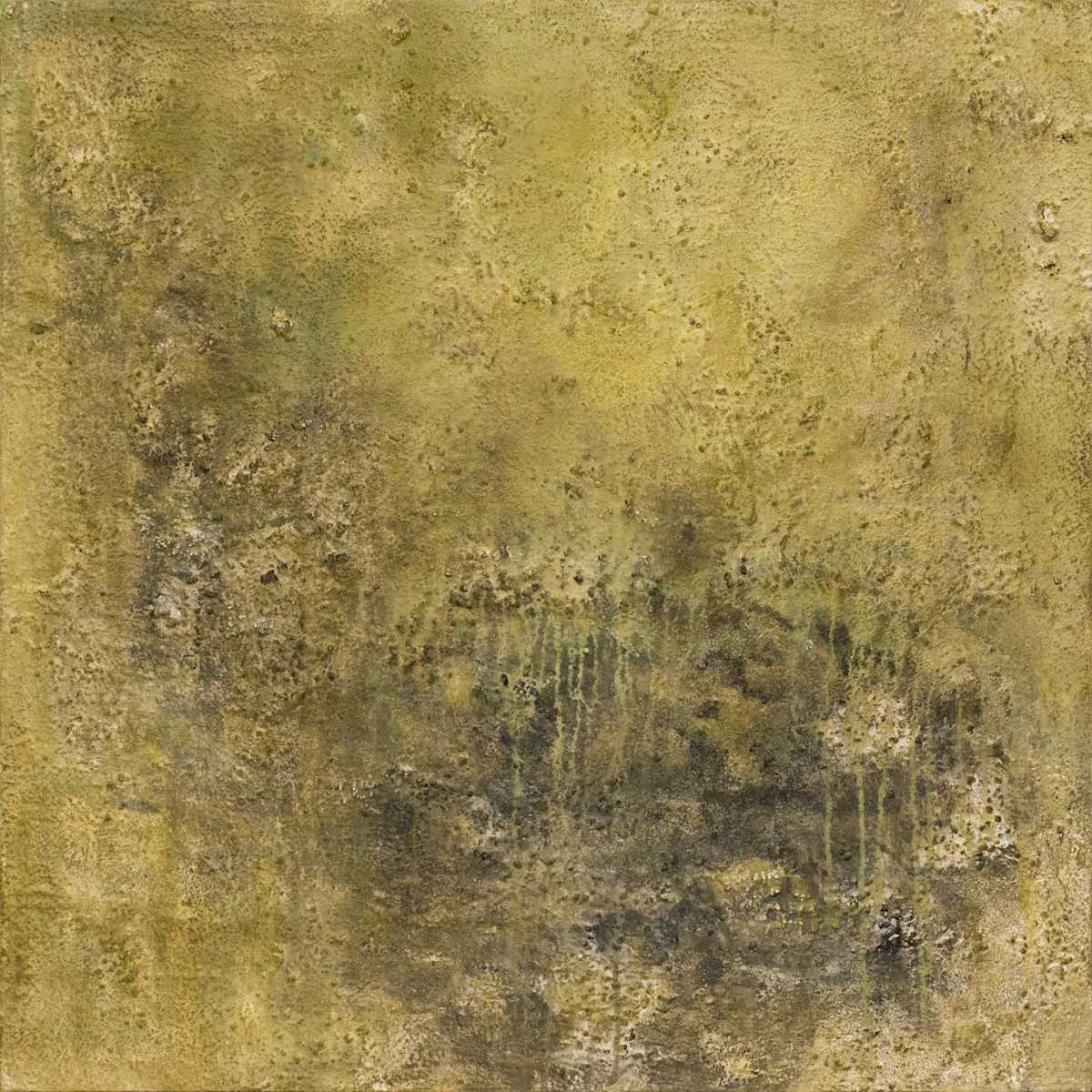 Mystic Forest by Jodey Kerr  Image: Mystic Forrest -36x36-Acrylic and Mixed Media on Canvas