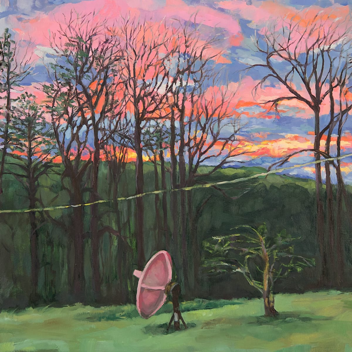 Satellite by Sharon Shapiro 