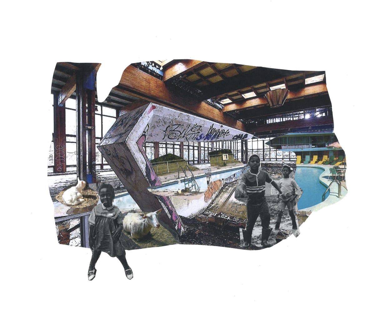 Divers by Sharon Shapiro 