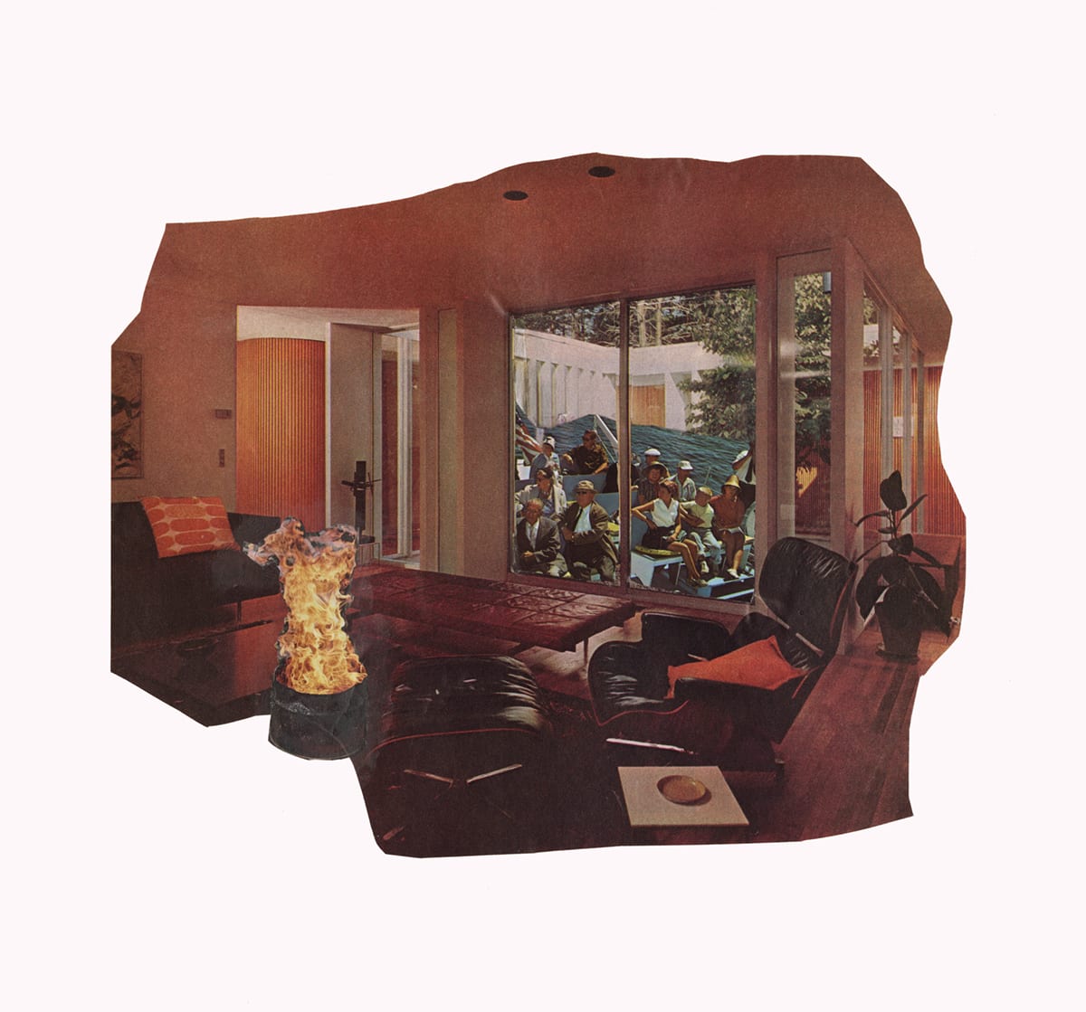 Optics by Sharon Shapiro 