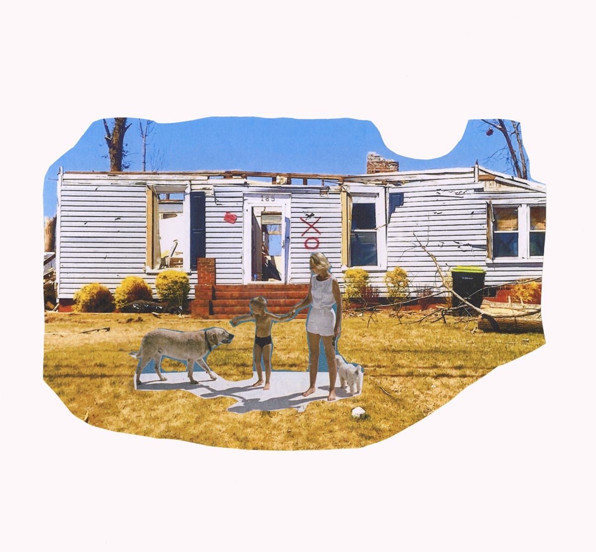 XOXO by Sharon Shapiro 