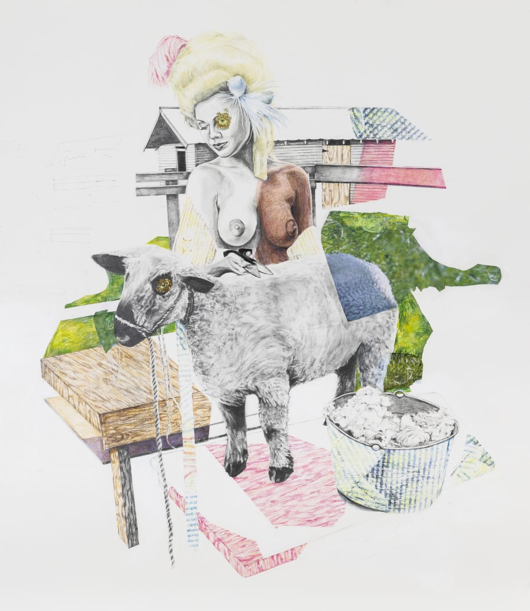 Laughing Stock by Sharon Shapiro 