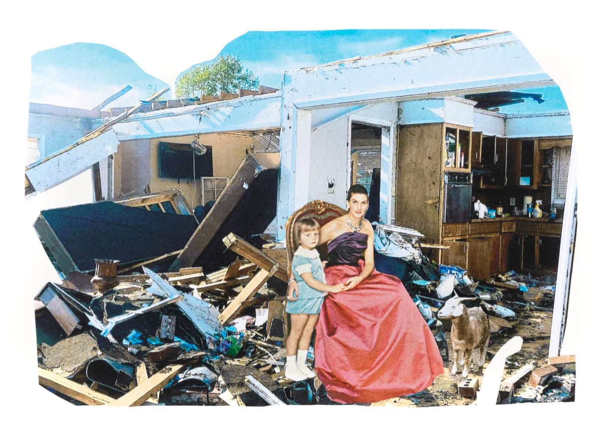 The Undoing by Sharon Shapiro 