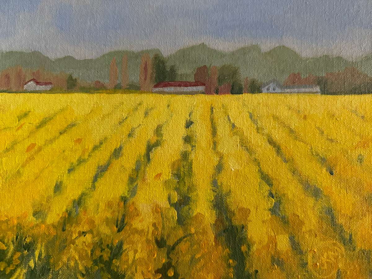 Field of Yellow Flowers by Julie Kay Midyett 