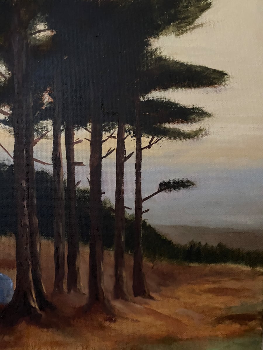 Evening Silhouette of Pine Trees by Julie Kay Midyett 