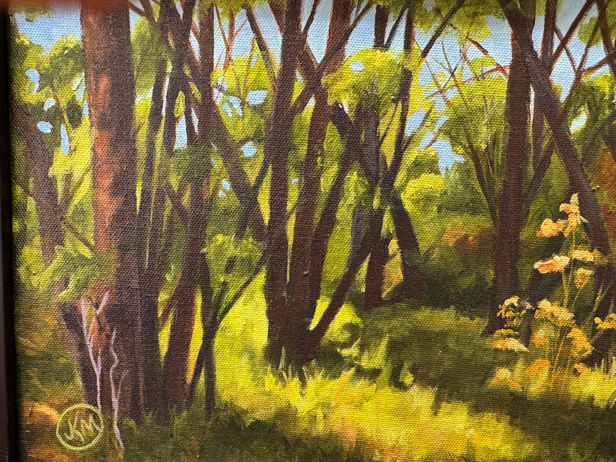 Afternoon Glow by Julie Kay Midyett 