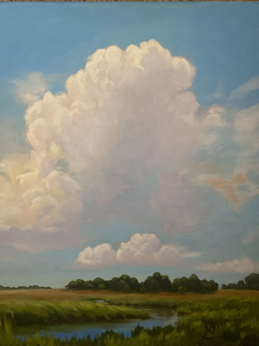 Cloudy Day by Julie Kay Midyett 