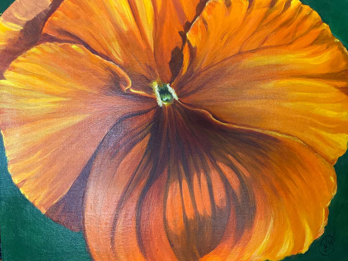 Orange Pansy by Julie Kay Midyett 