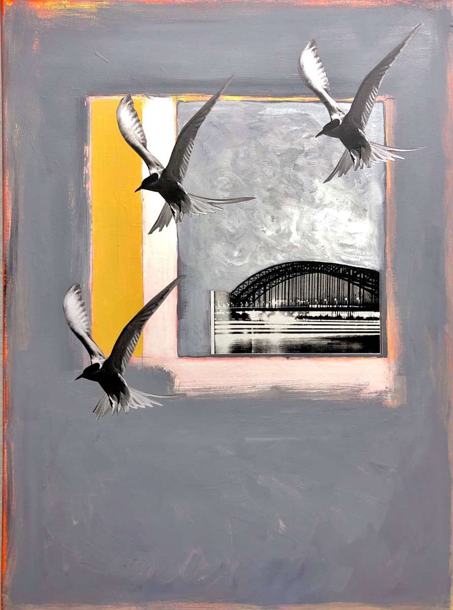 Cages Wrecking Rivers by Brad Terhune 