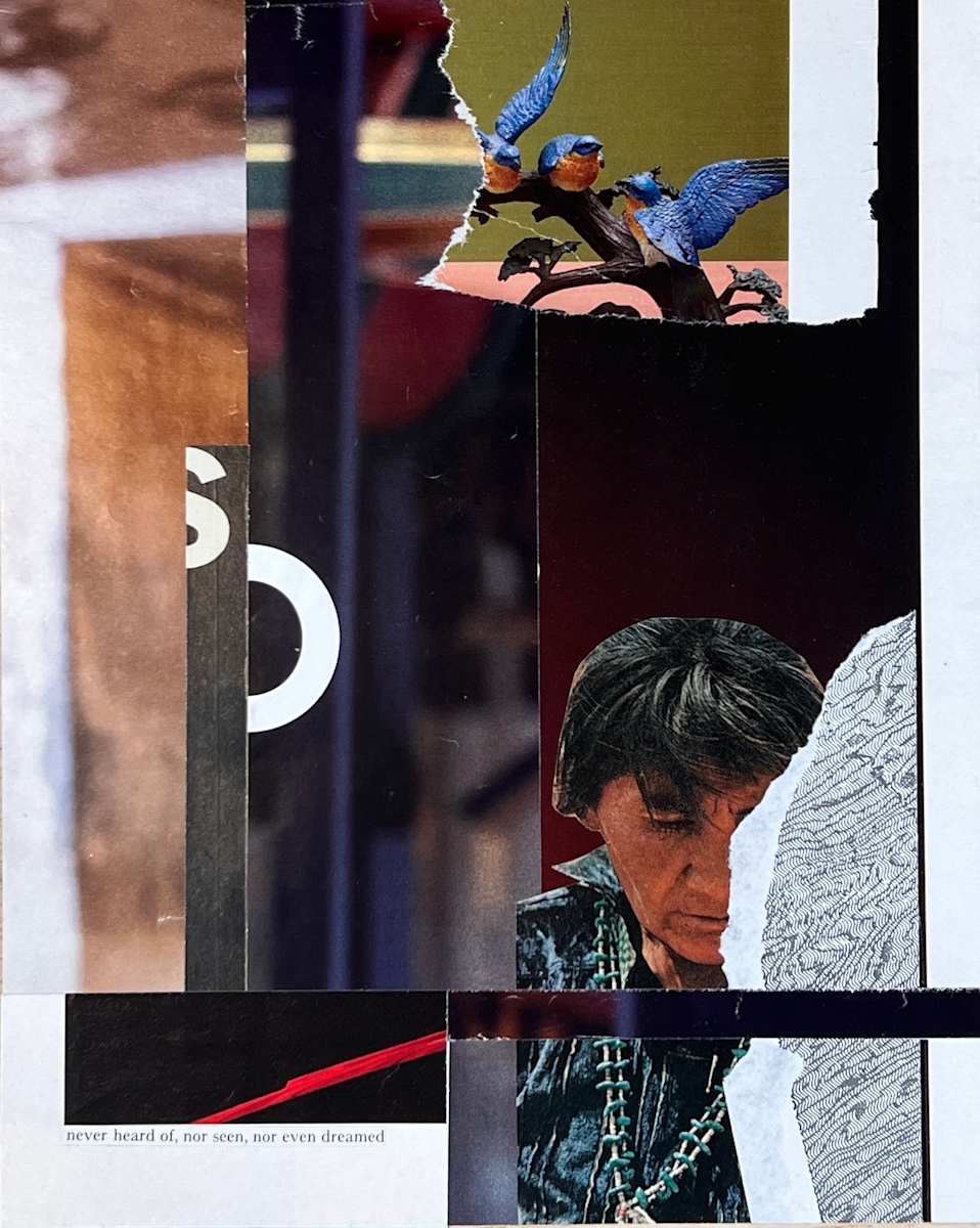 never heard of, nor seen, nor even dreamed by Brad Terhune 