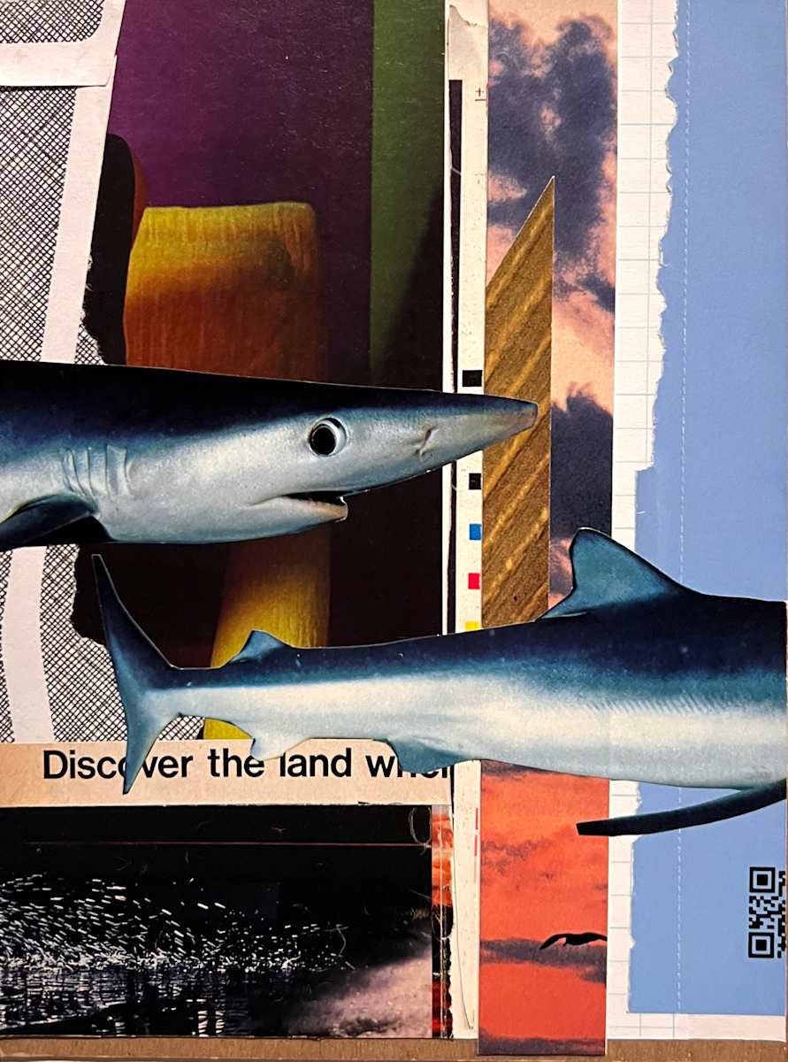 Discover the land by Brad Terhune 