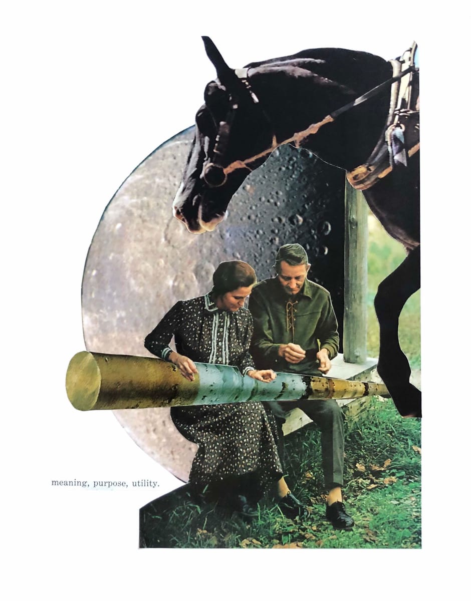 meaning, purpose, utility by Brad Terhune 