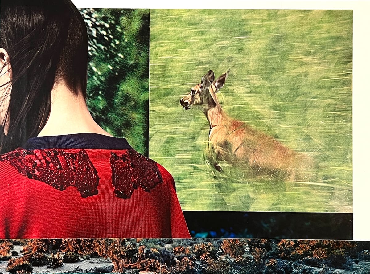 Only Minor Chords by Brad Terhune 