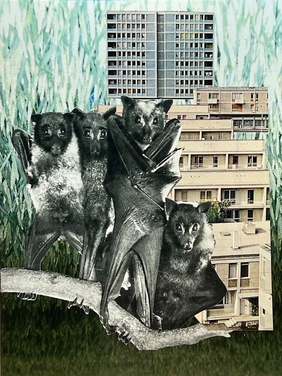 Bela Lugosi's Dead, Again by Brad Terhune 