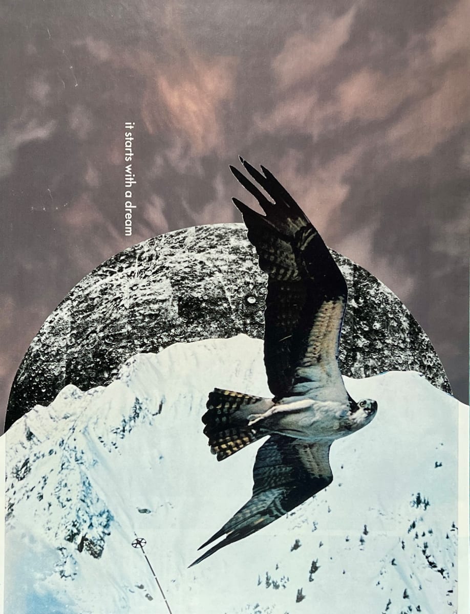 It Starts With A Dream, Too by Brad Terhune 