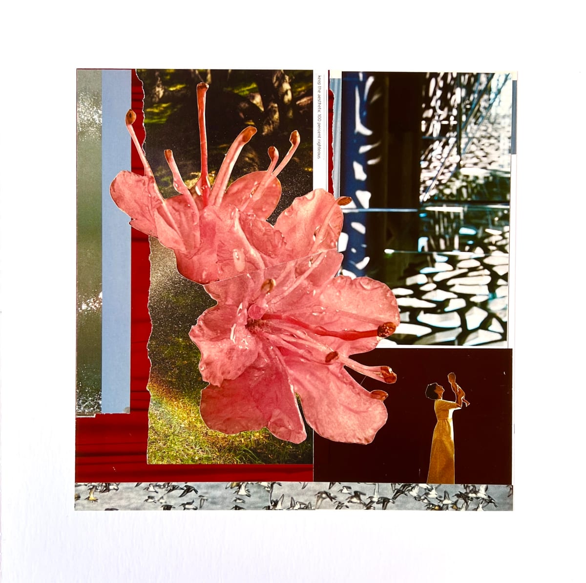 keep the aesthetic 100 percent righteous by Brad Terhune 