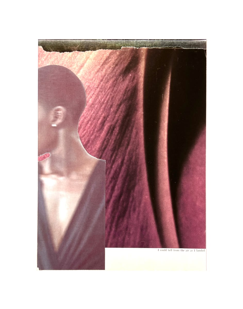 I could tell from the air as I landed by Brad Terhune 