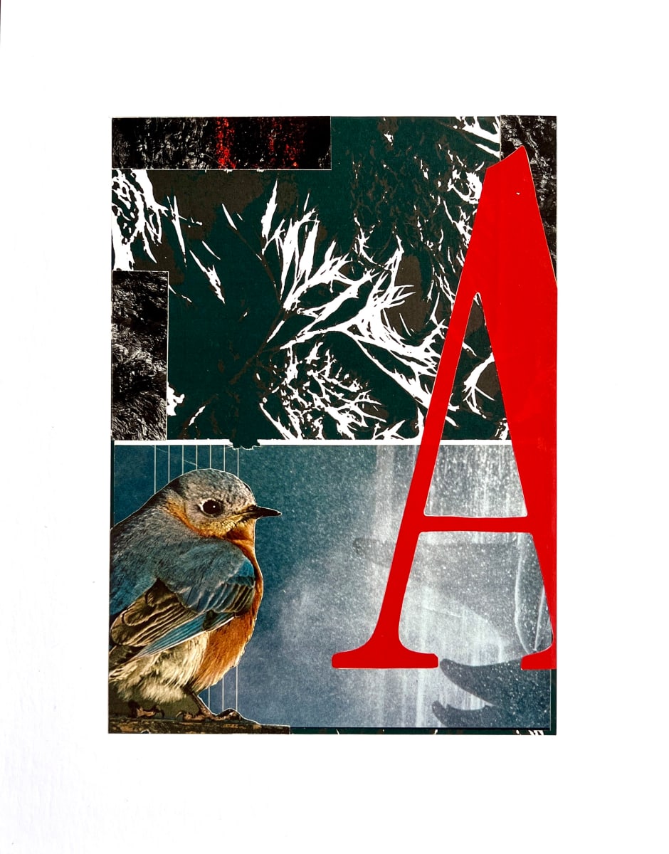 A by Brad Terhune  Image: What does a big red letter A bring to mind? Literary history say adultery, common in birds.