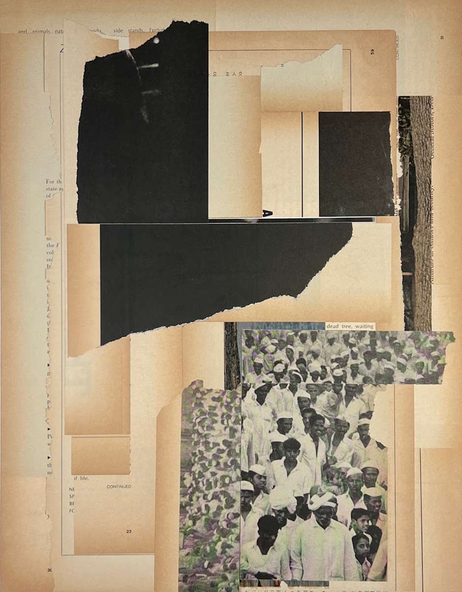 dead tree, waiting by Brad Terhune 