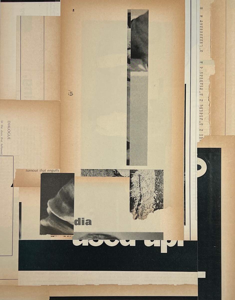 turnout that engulfs by Brad Terhune 