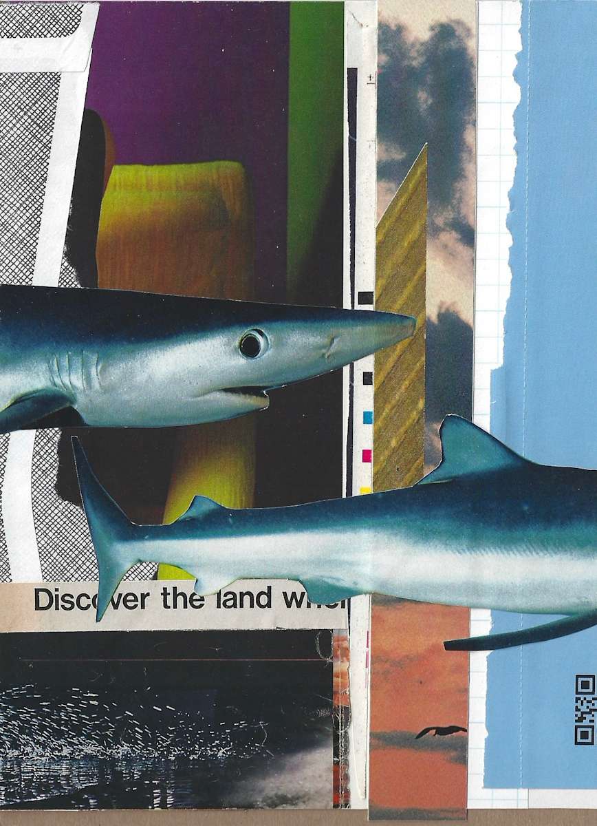 Discover the land by Brad Terhune, Image 1.