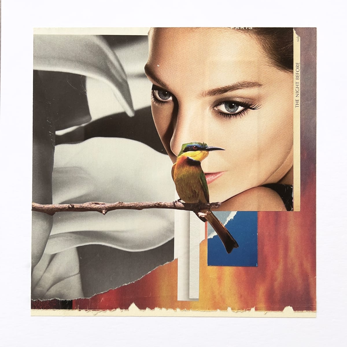 THE NIGHT BEFORE by Brad Terhune 