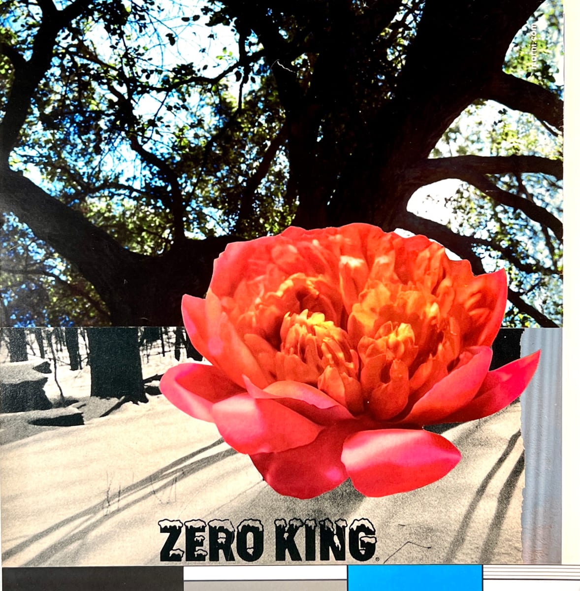Zero King by Brad Terhune 