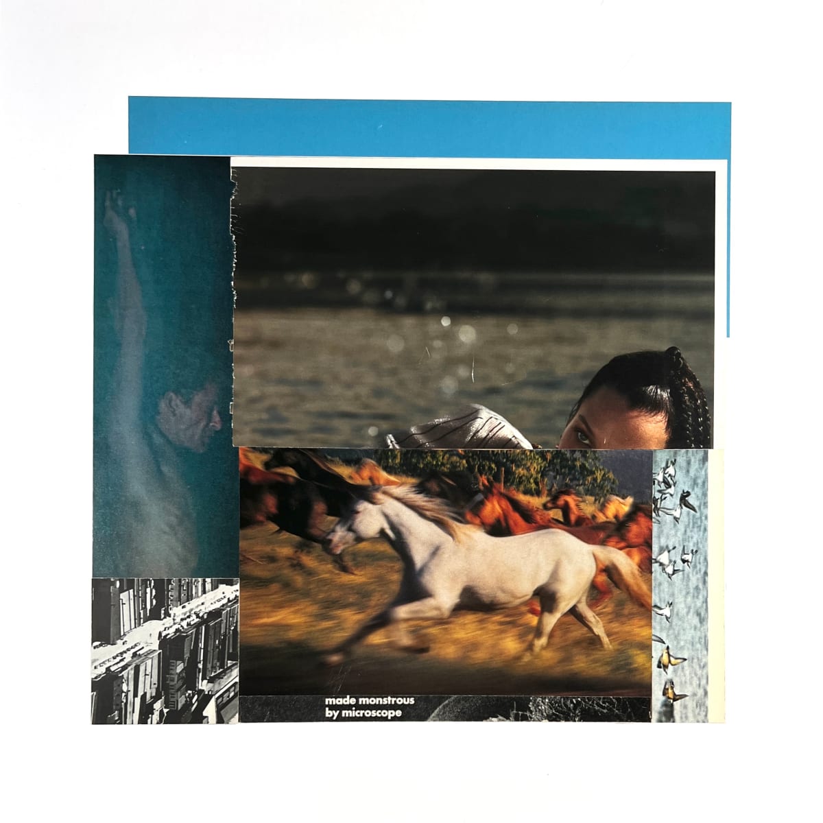 made monstrous by microscope by Brad Terhune 