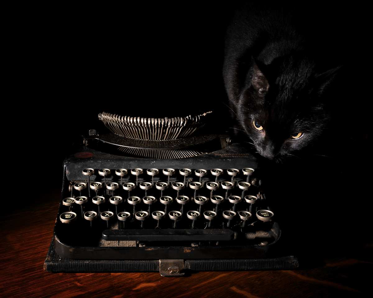 Where's It's Mouse? Editions 5/250 by wendy nelson