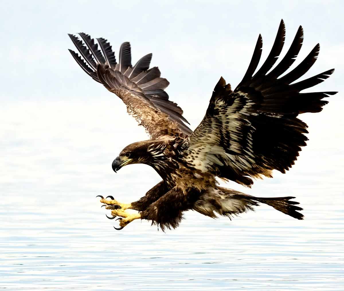 Within Reach 3/250 by Wendy Nelson Photography 