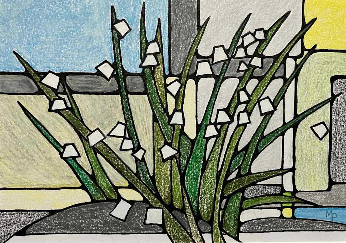 Spring Snowflakes by Miranda Pender 