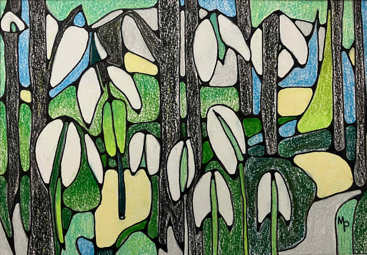 Woodland Snowdrops by Miranda Pender 