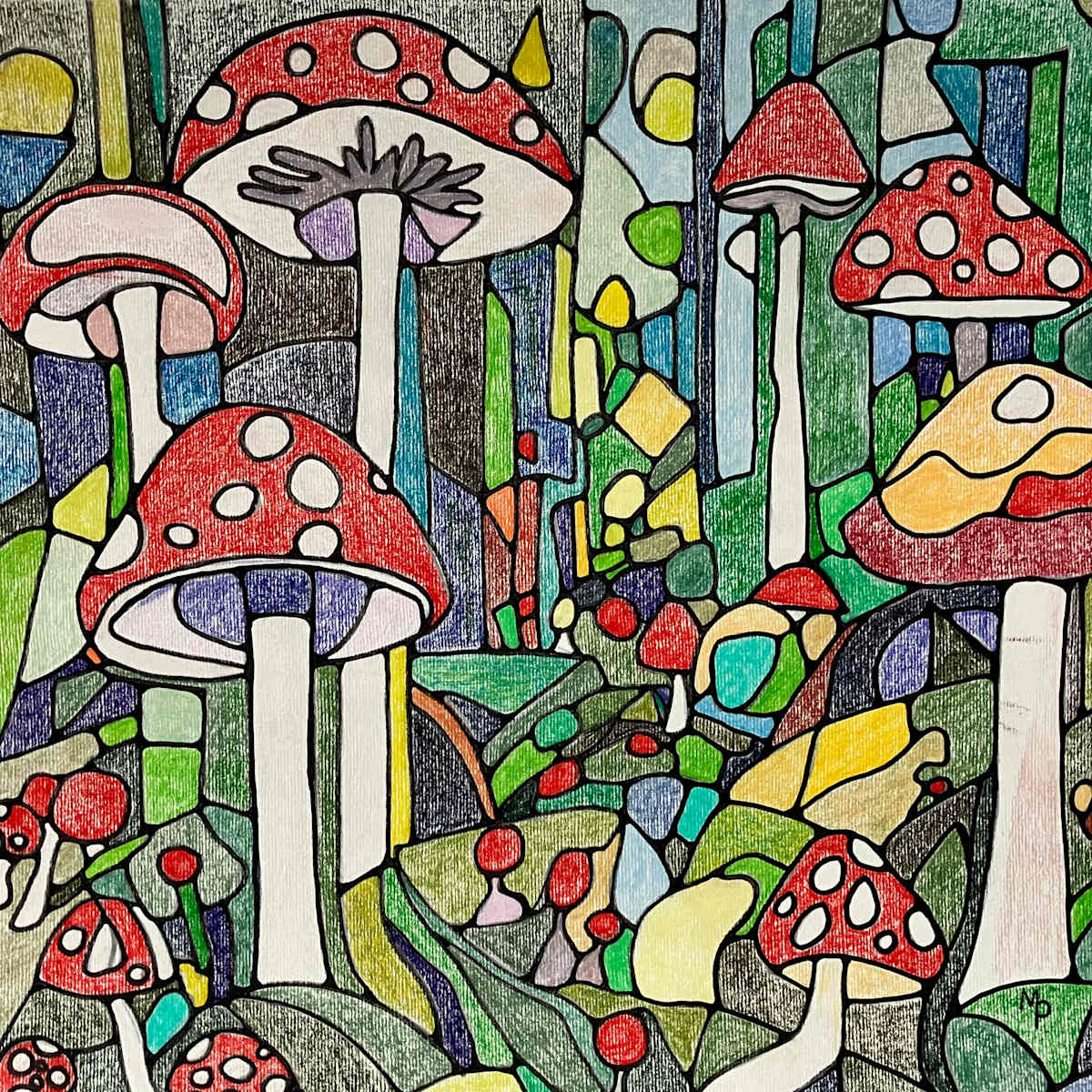 Toadstool Wood by Miranda Pender 