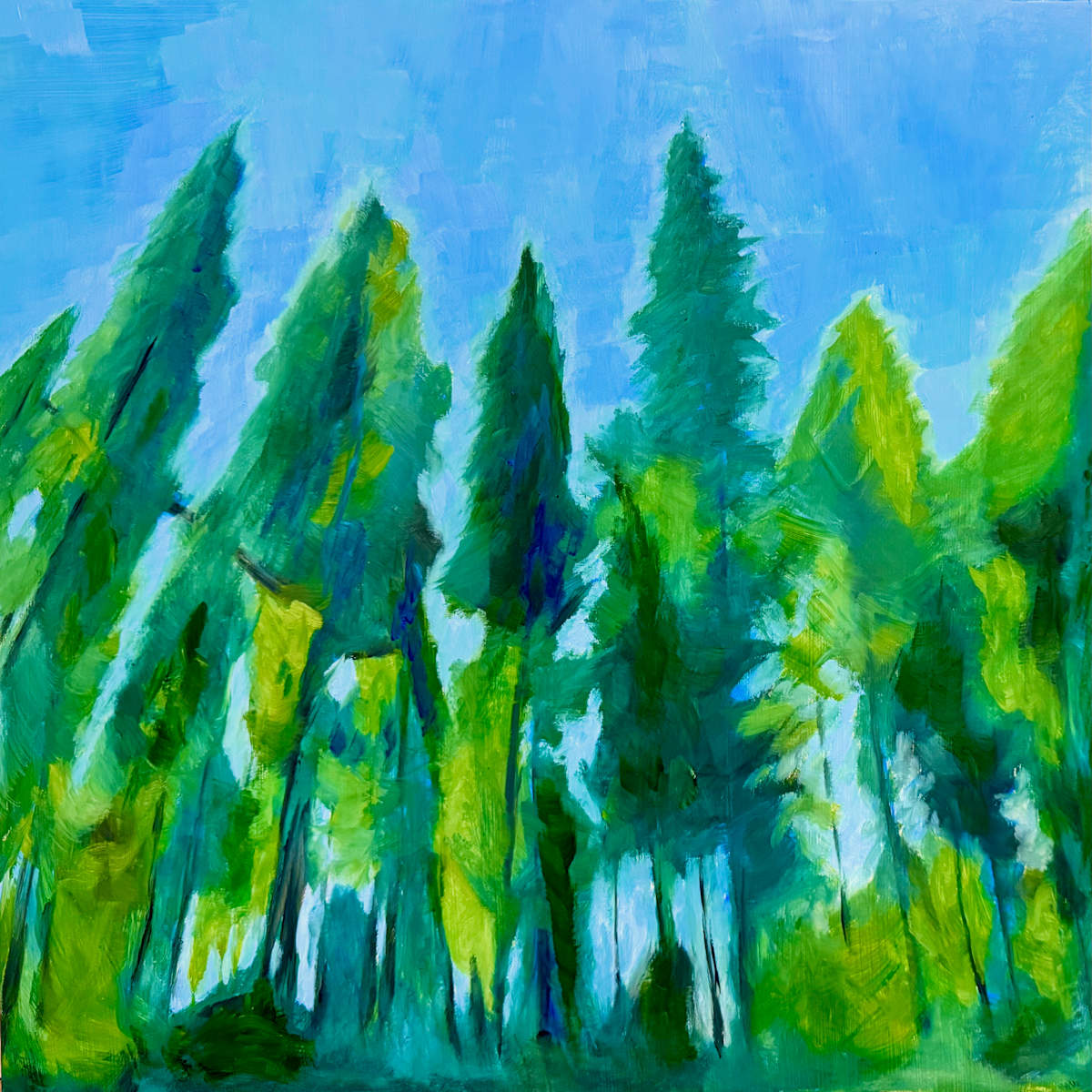 Cornwall Park. by Anton Mogilevsky 